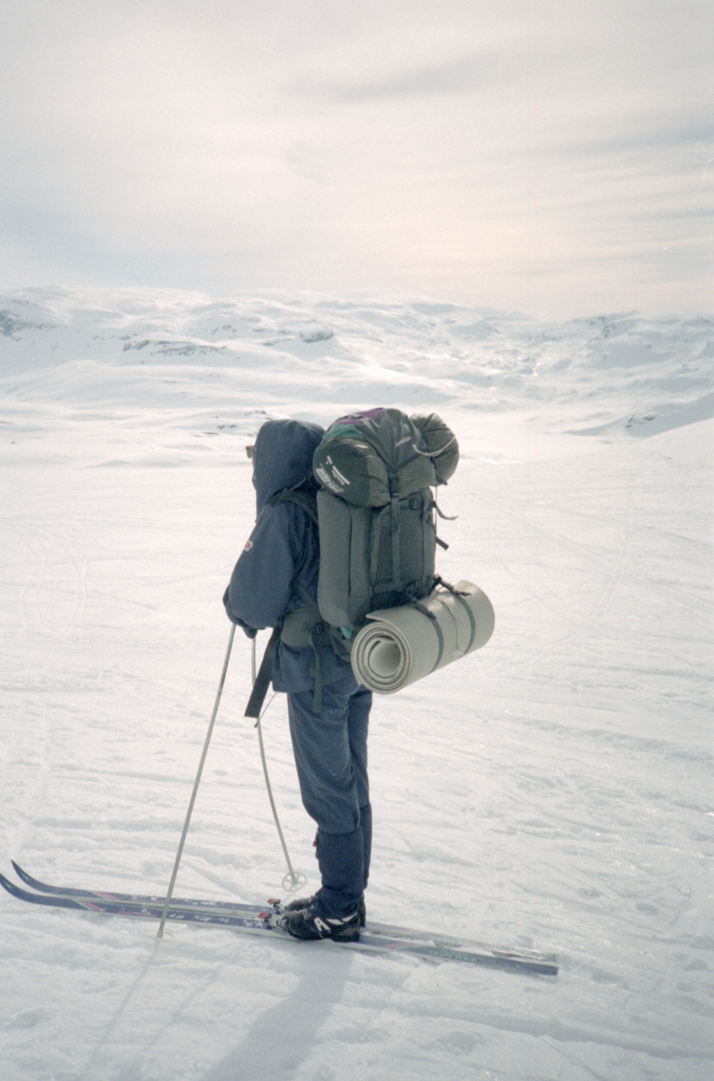 hardangervidda