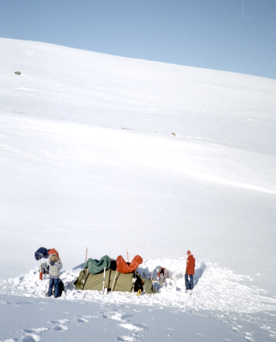 camp