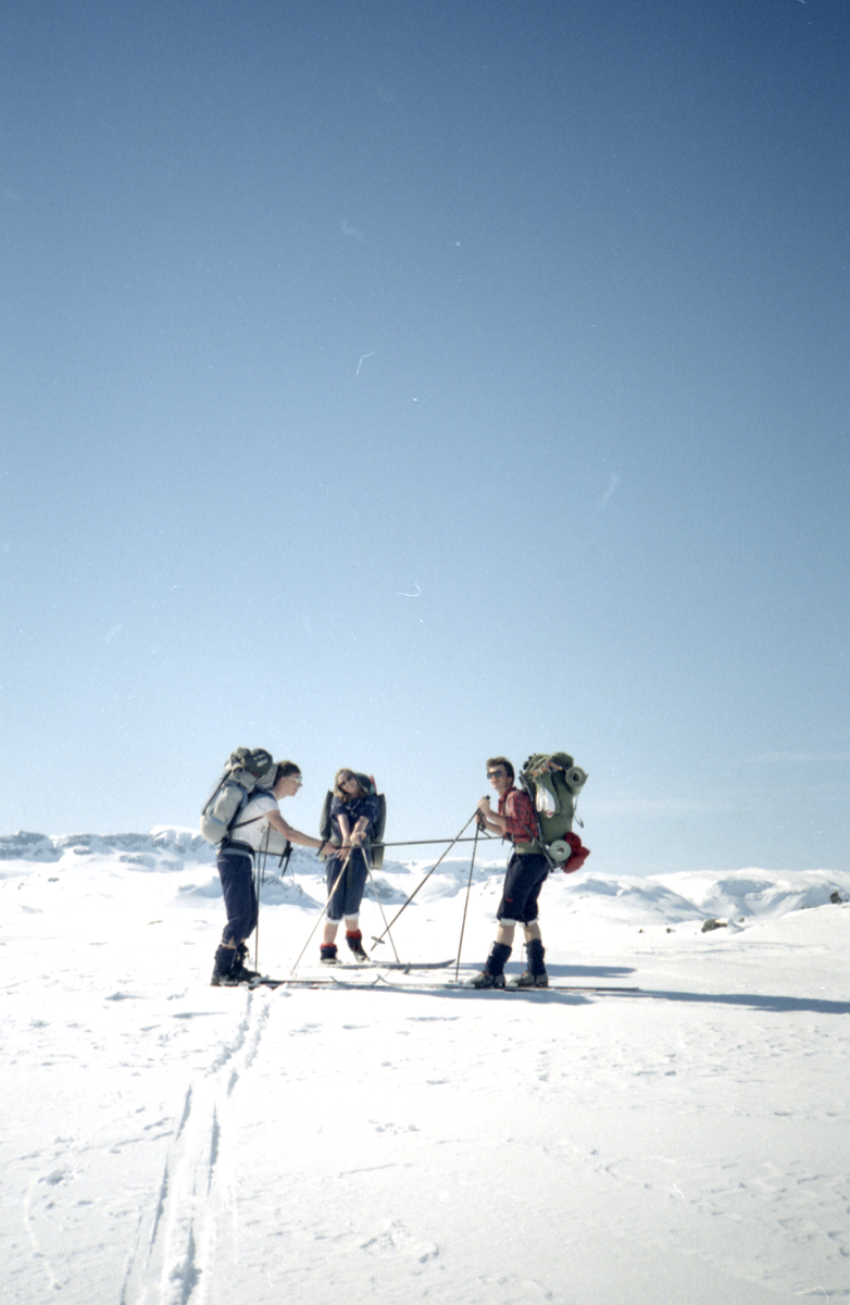 thl, elin, harald