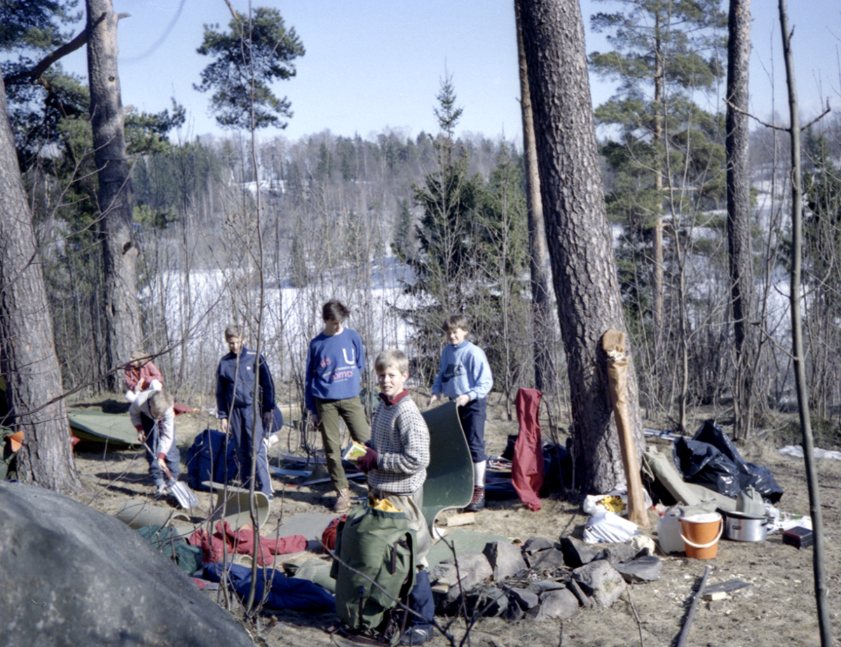 snømus