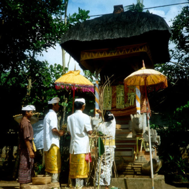 bali