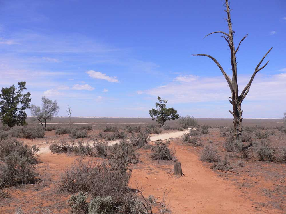 mungo lookout