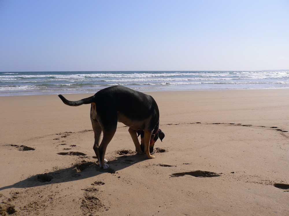 grainne, venus bay