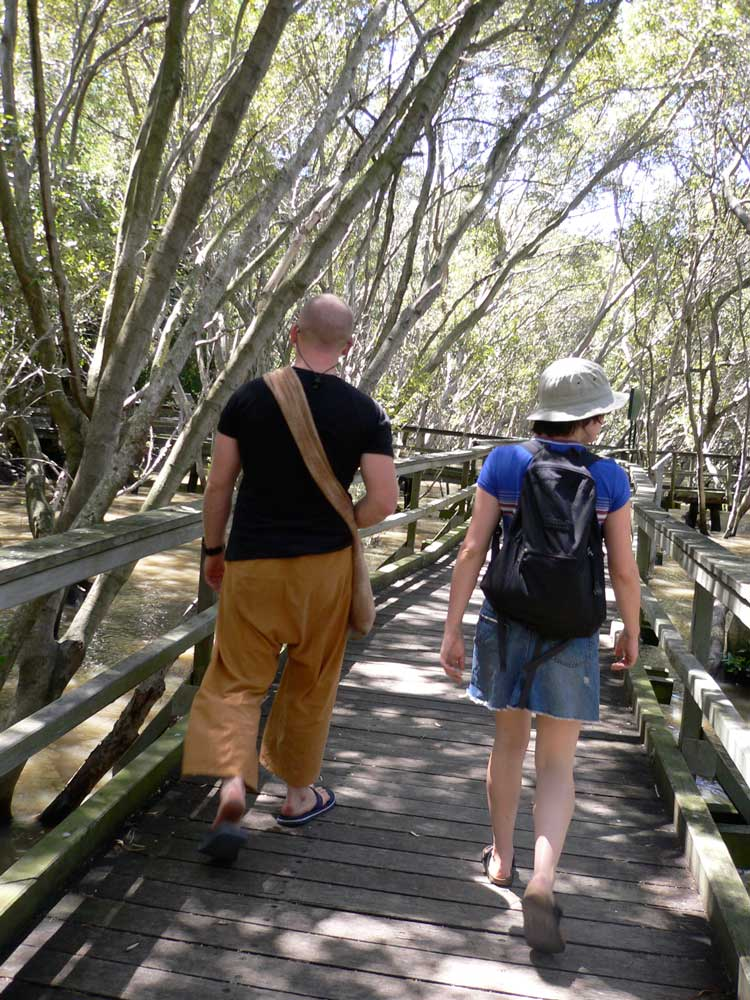 brissie mangrove