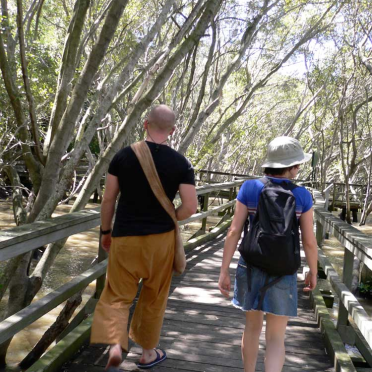brissie mangrove