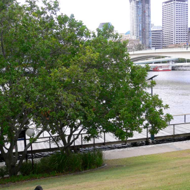 brisbane