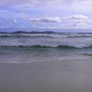 wilsons prom