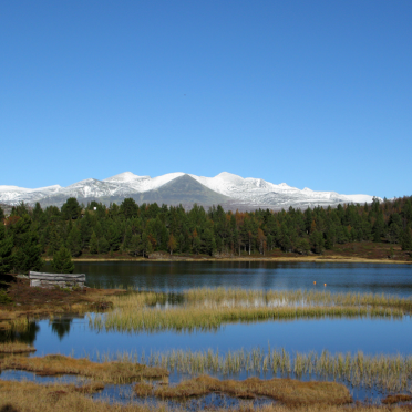 rondane