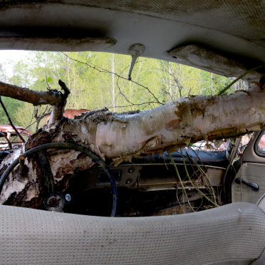 view