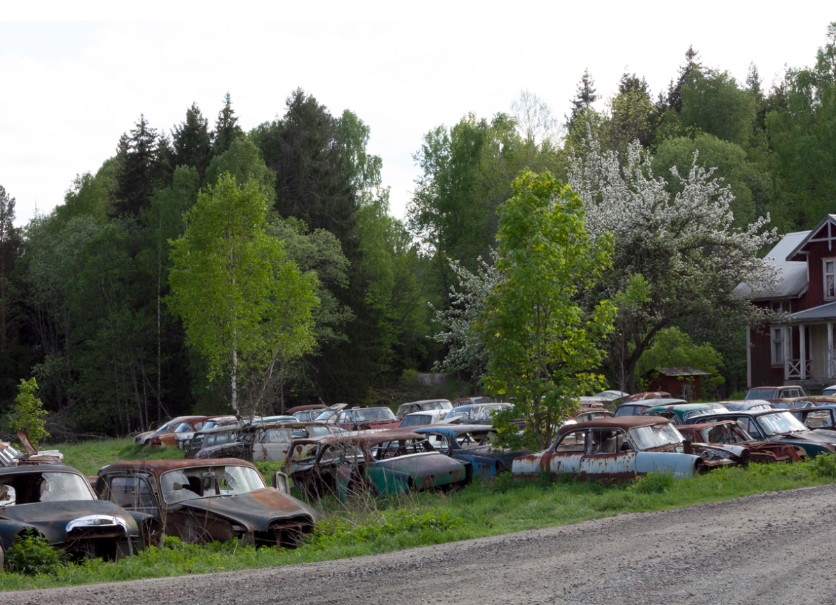 in a swedish field