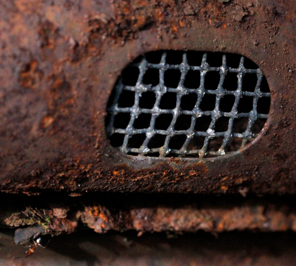 anybody in there?