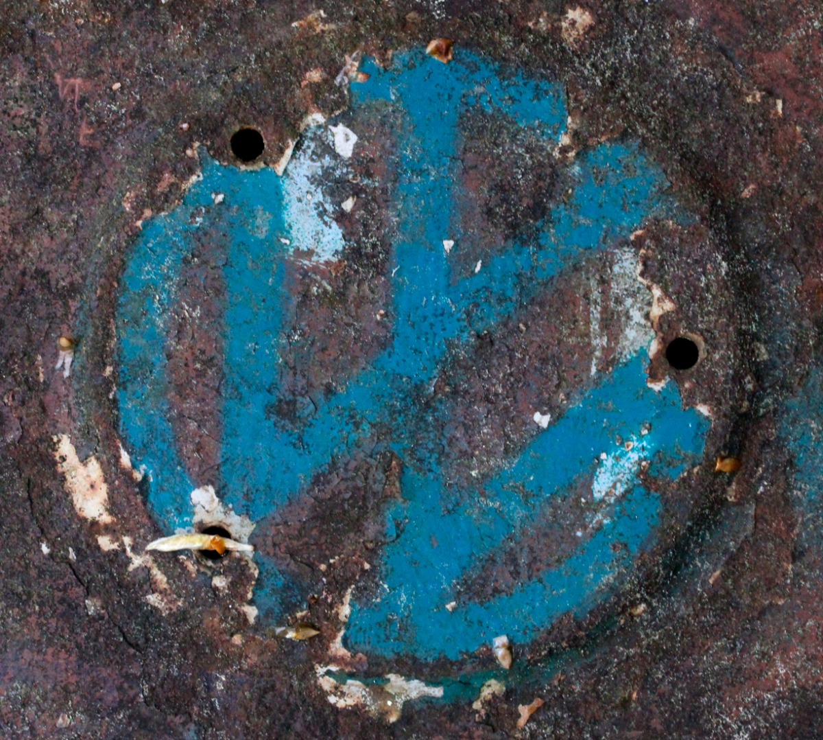 vw