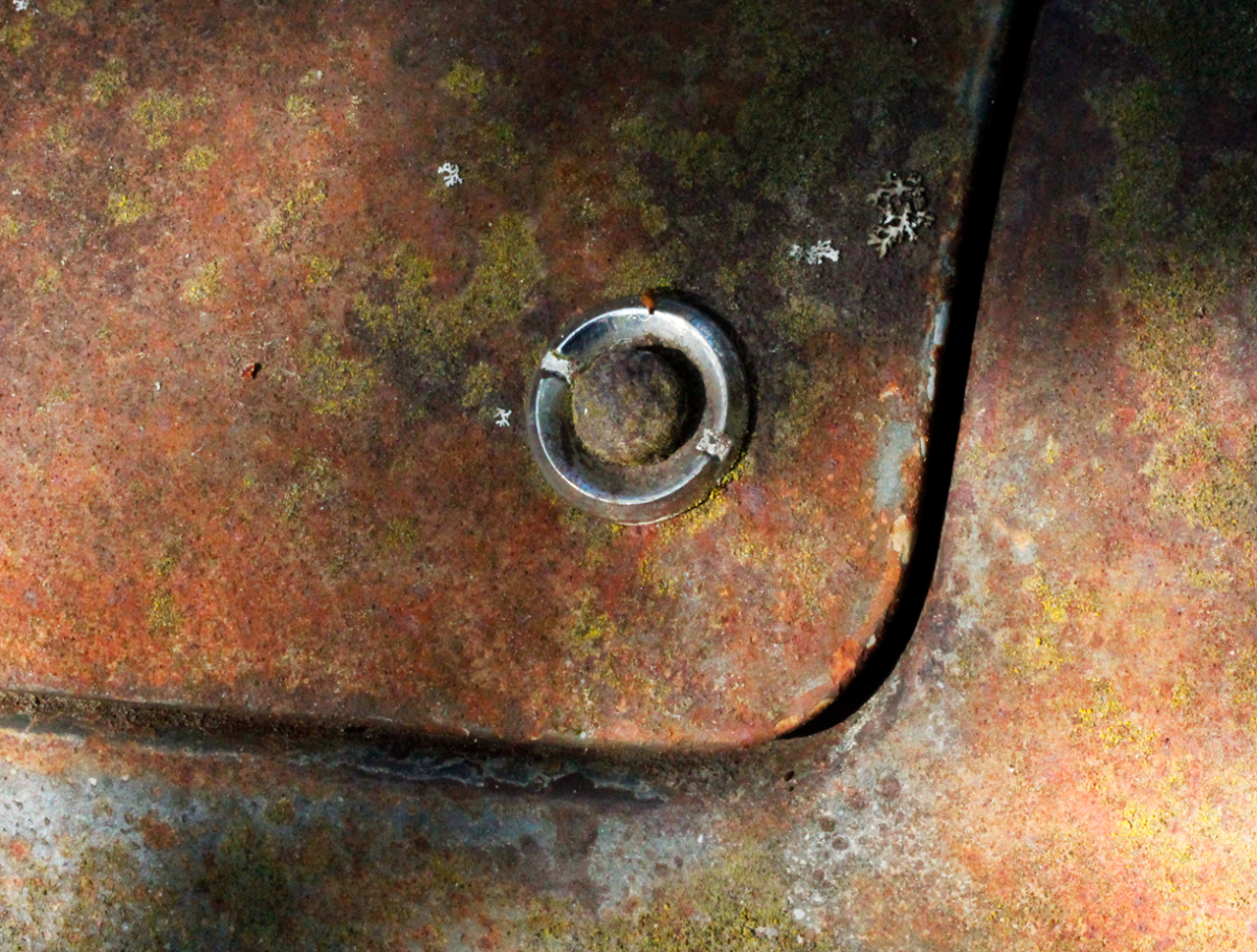 lid