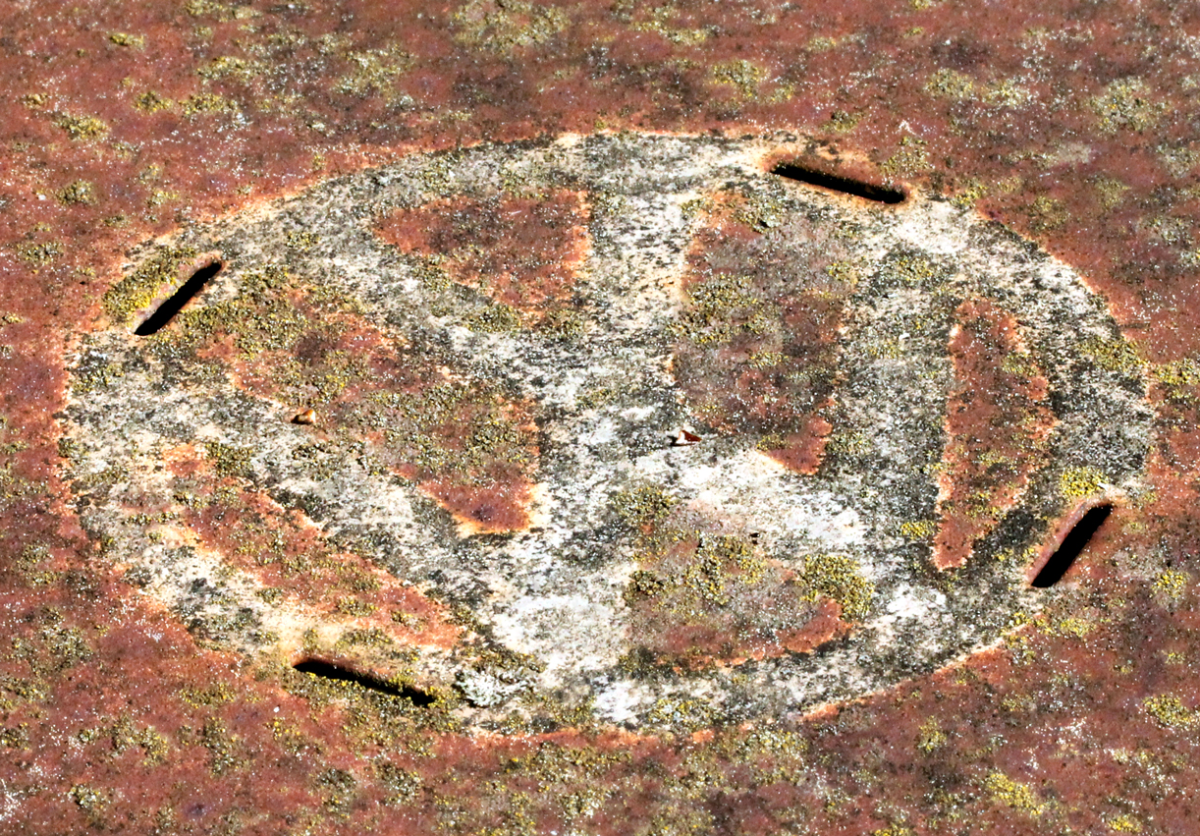 vw