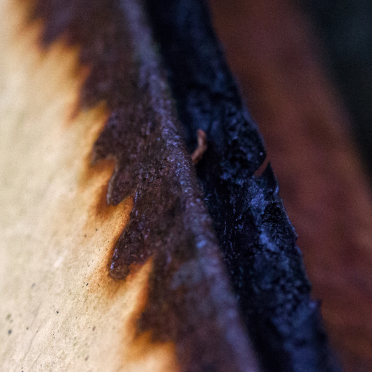capillary