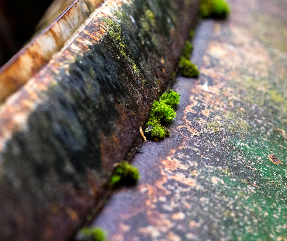 edges