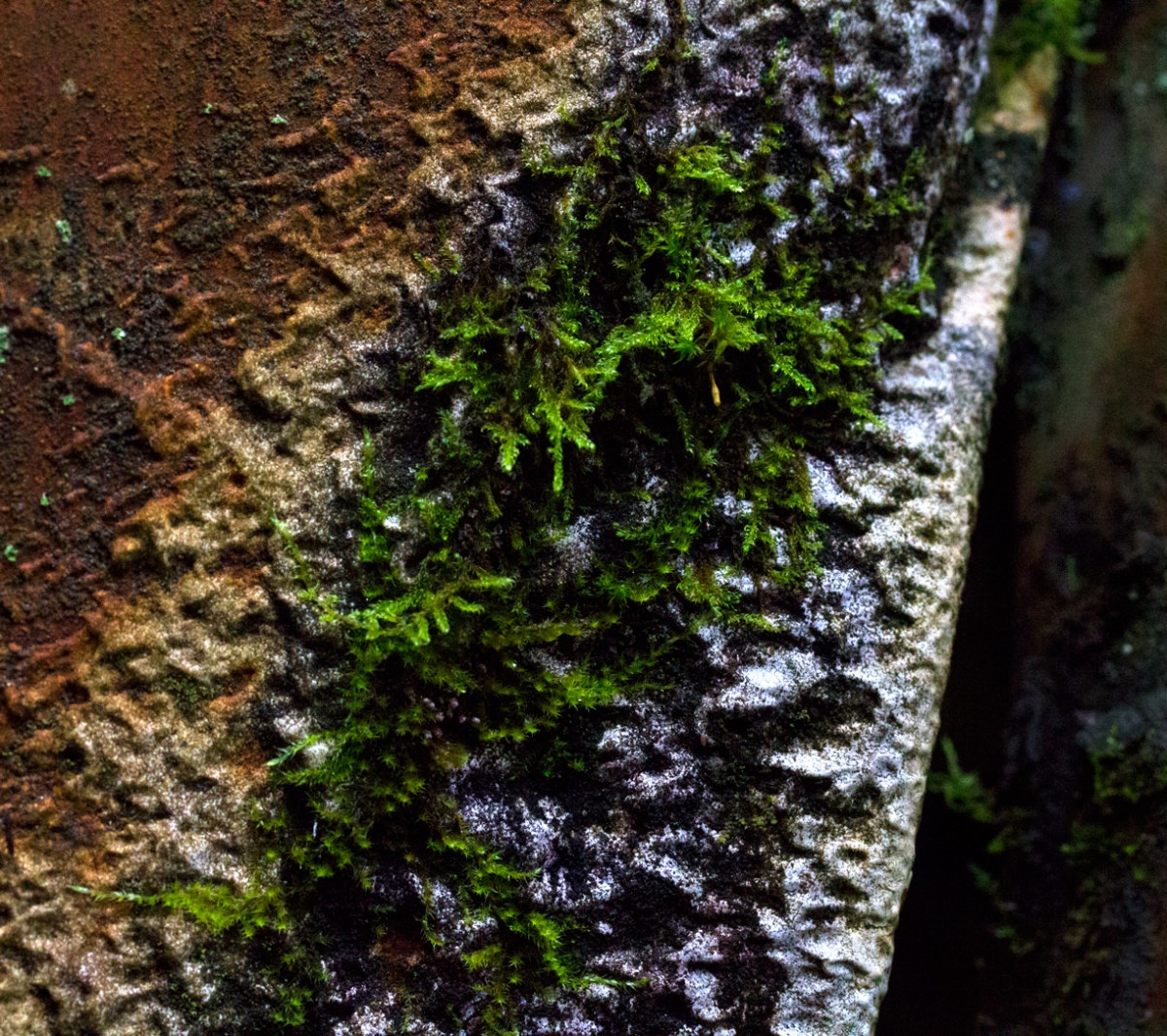 texture