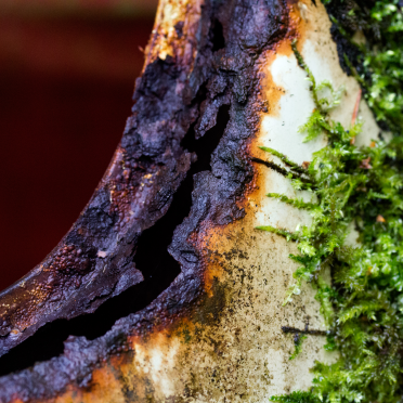 corrosive