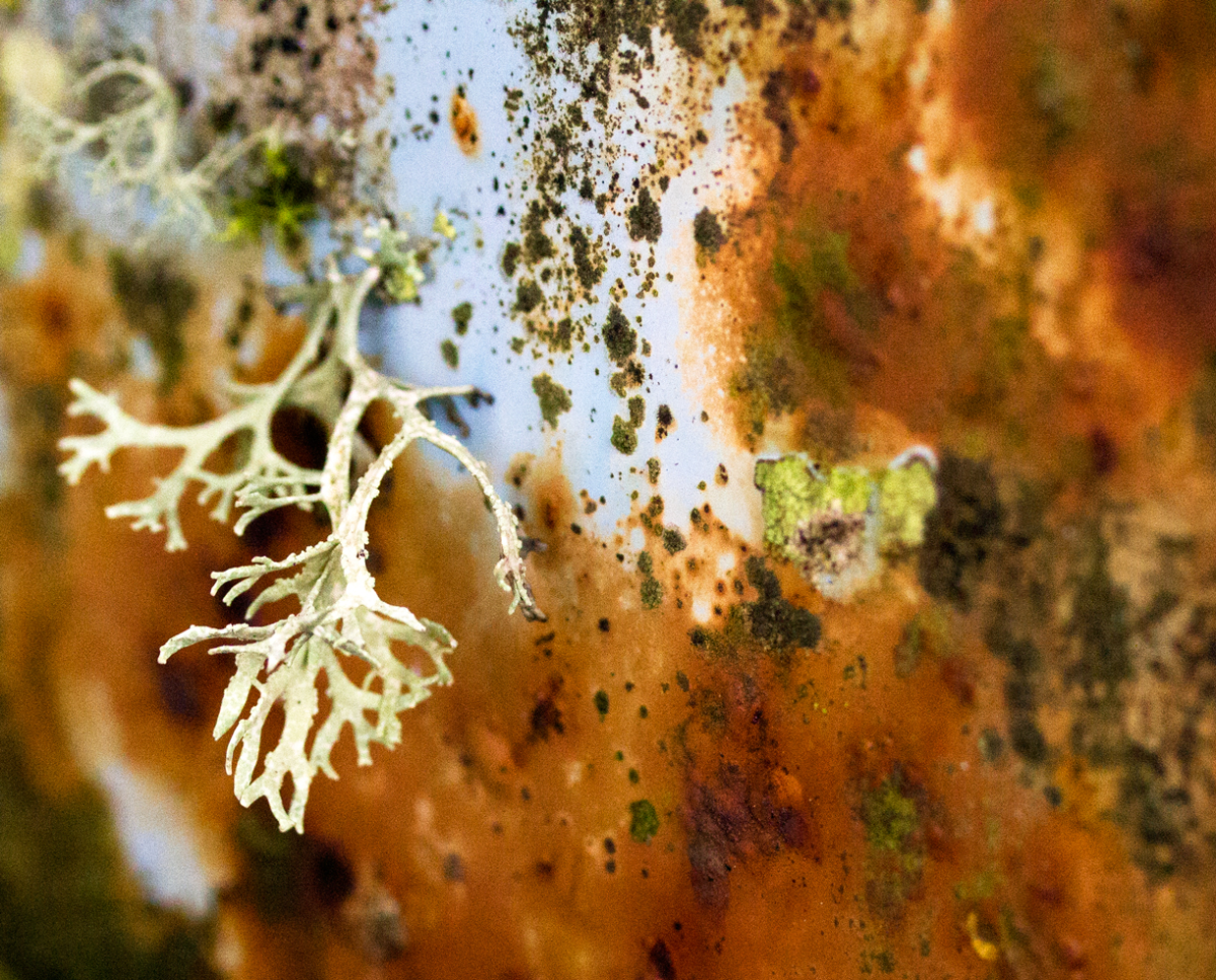 nature always wins
