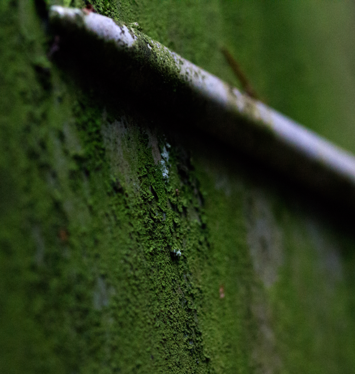 rails