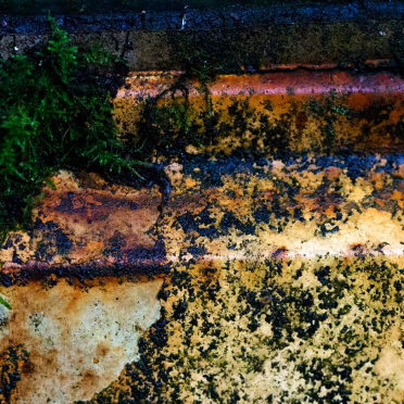 steps