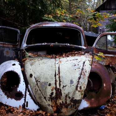 beetle