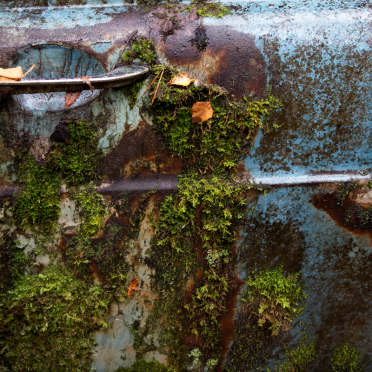 landscapes