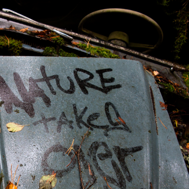nature takes over