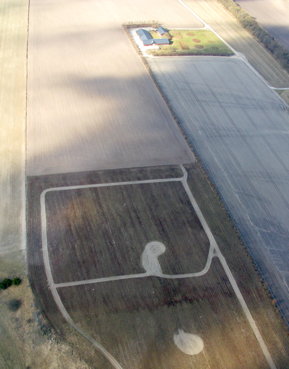 fields