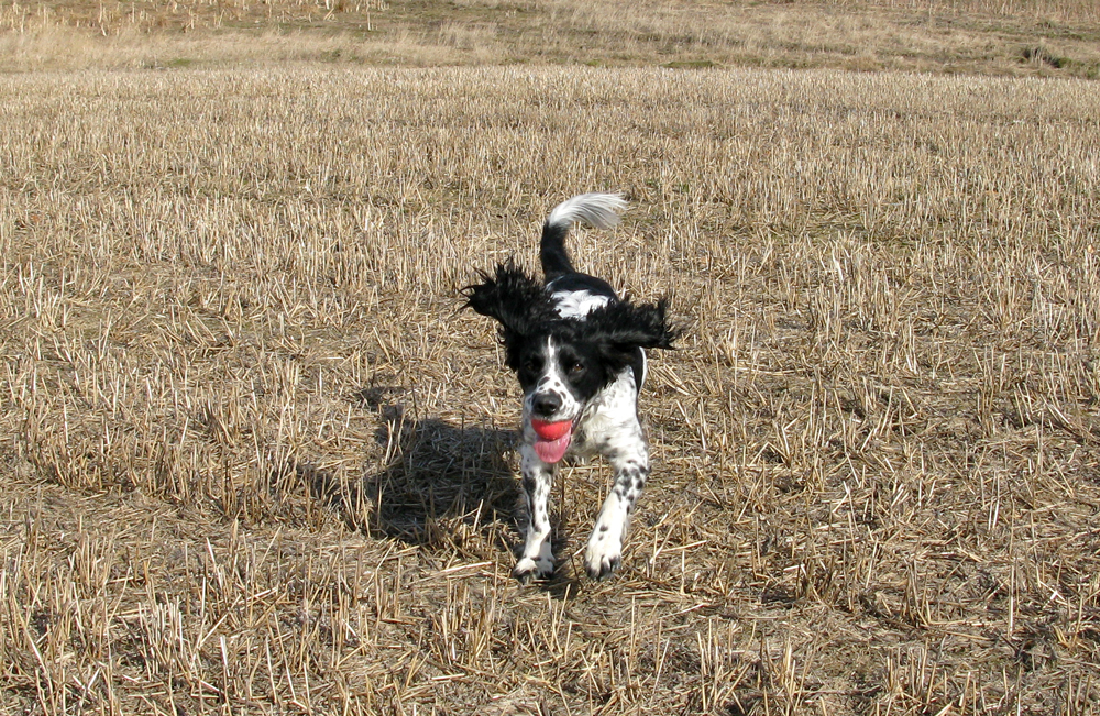 full speed