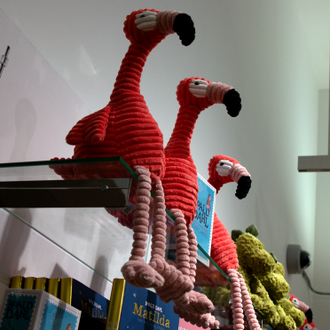 single and ready to flamingle!