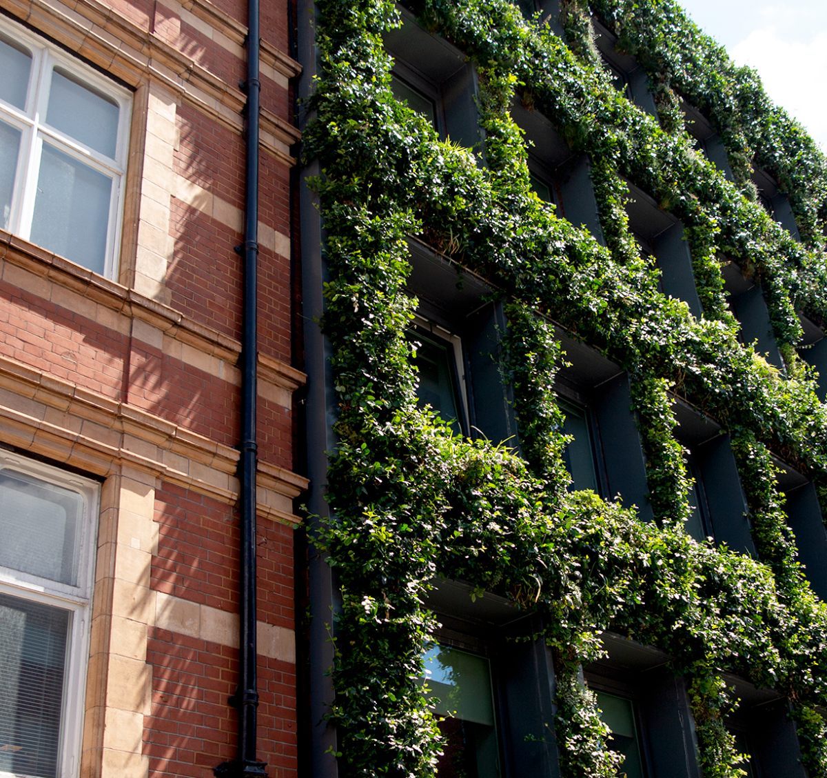 improved facade