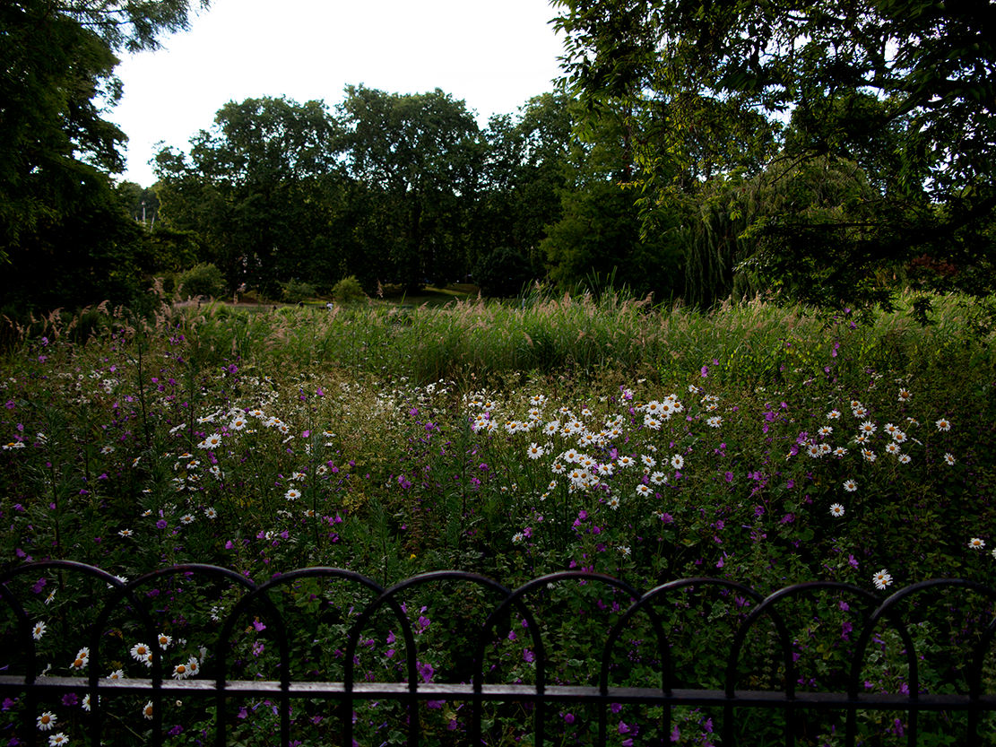 st james' park