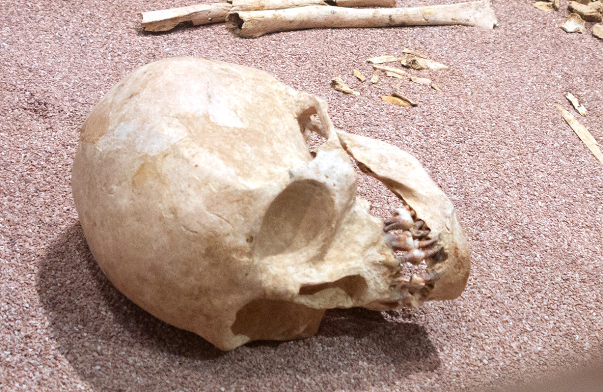 prehistory