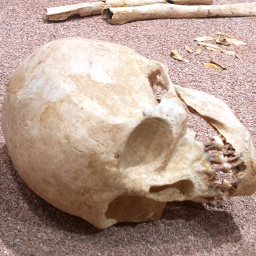 prehistory