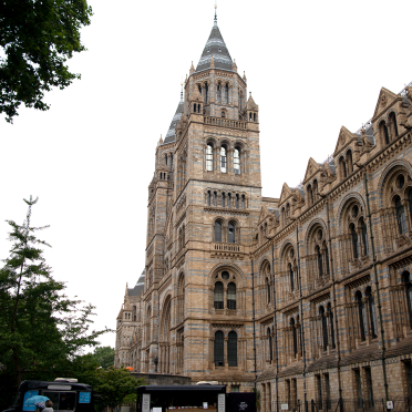 museum of natural history