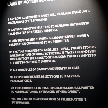 laws of motion in a cartoon landscape