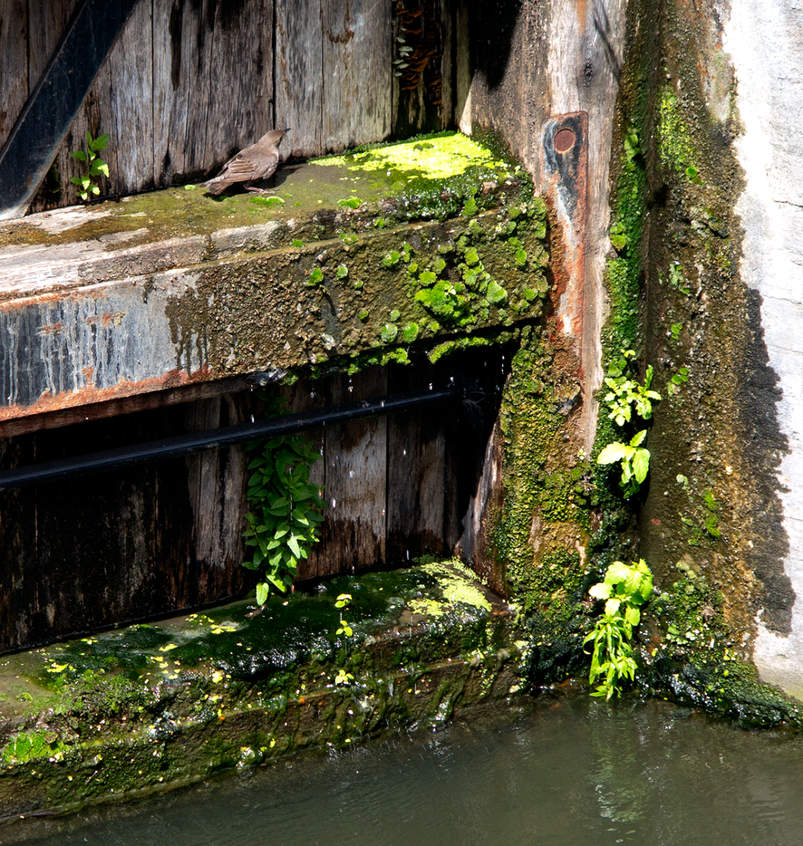 canal lock