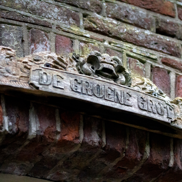 the green frog