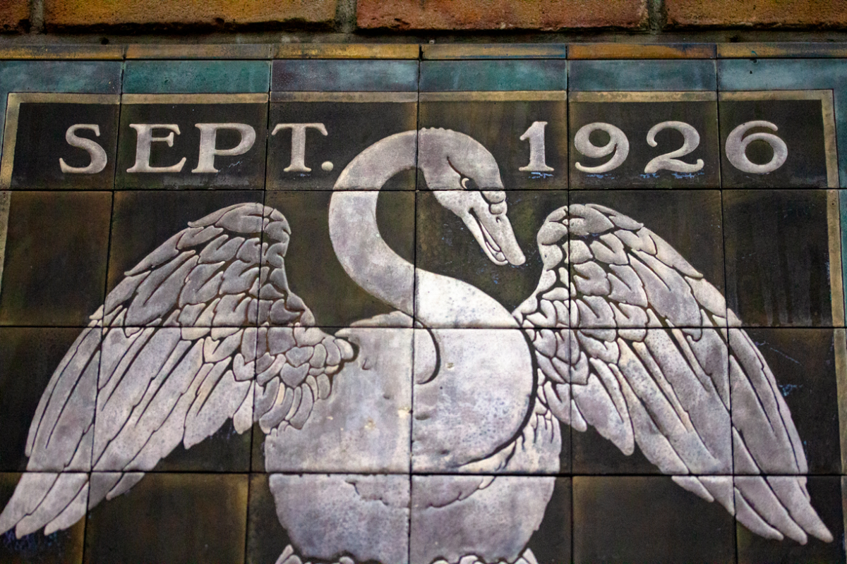 swan
