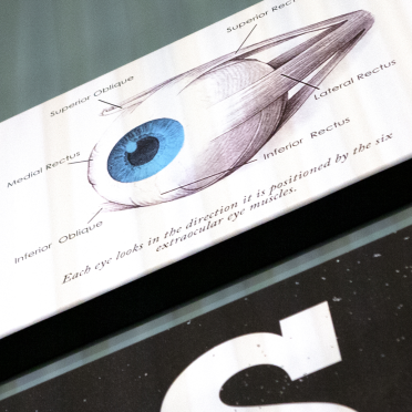 eye