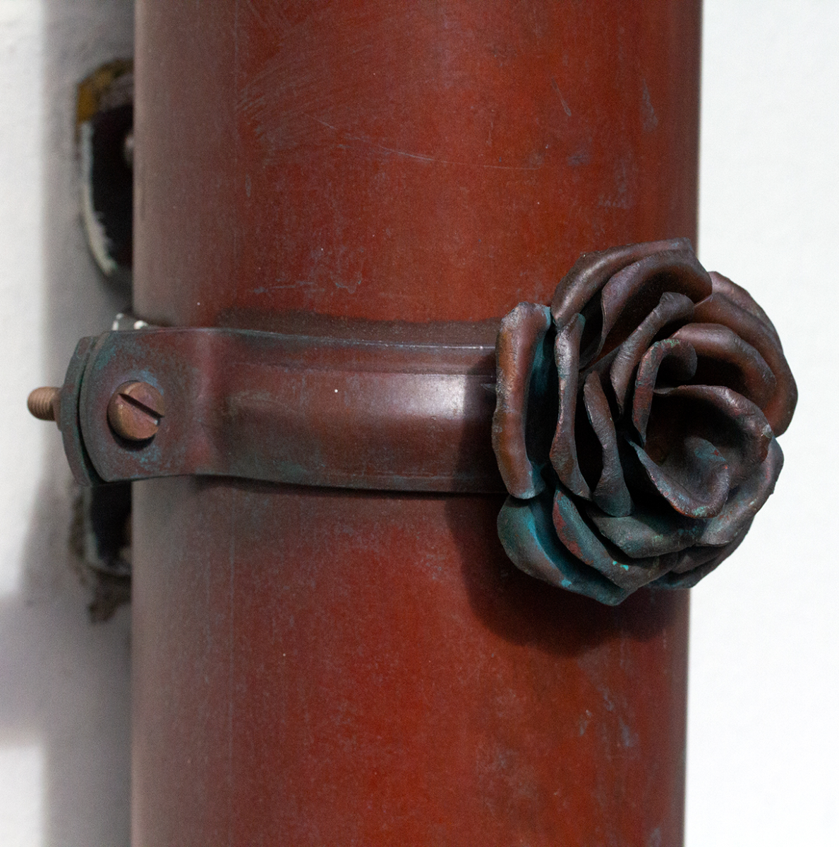rose drain