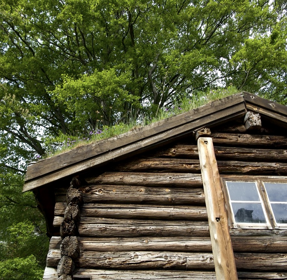 roof
