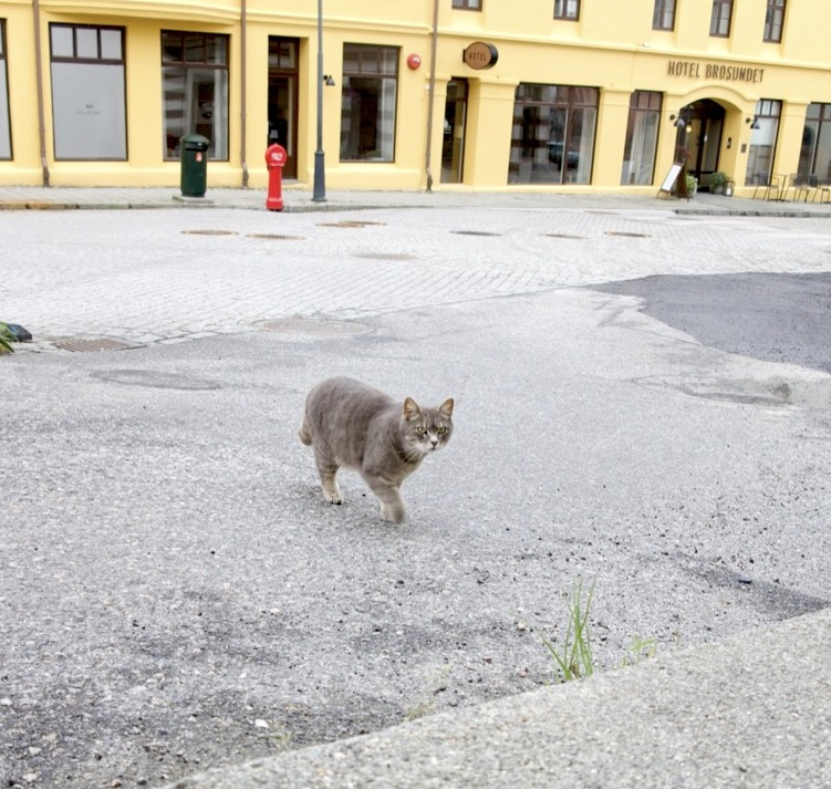 stand-off