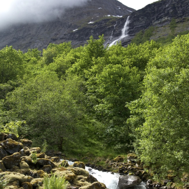 Norangsfjorden / Hjørundfjord