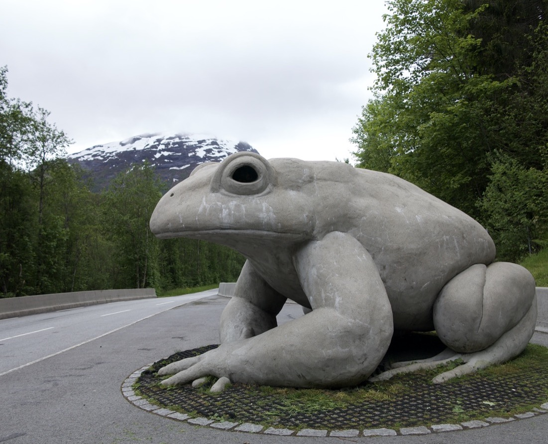 toad land!