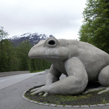 toad land!