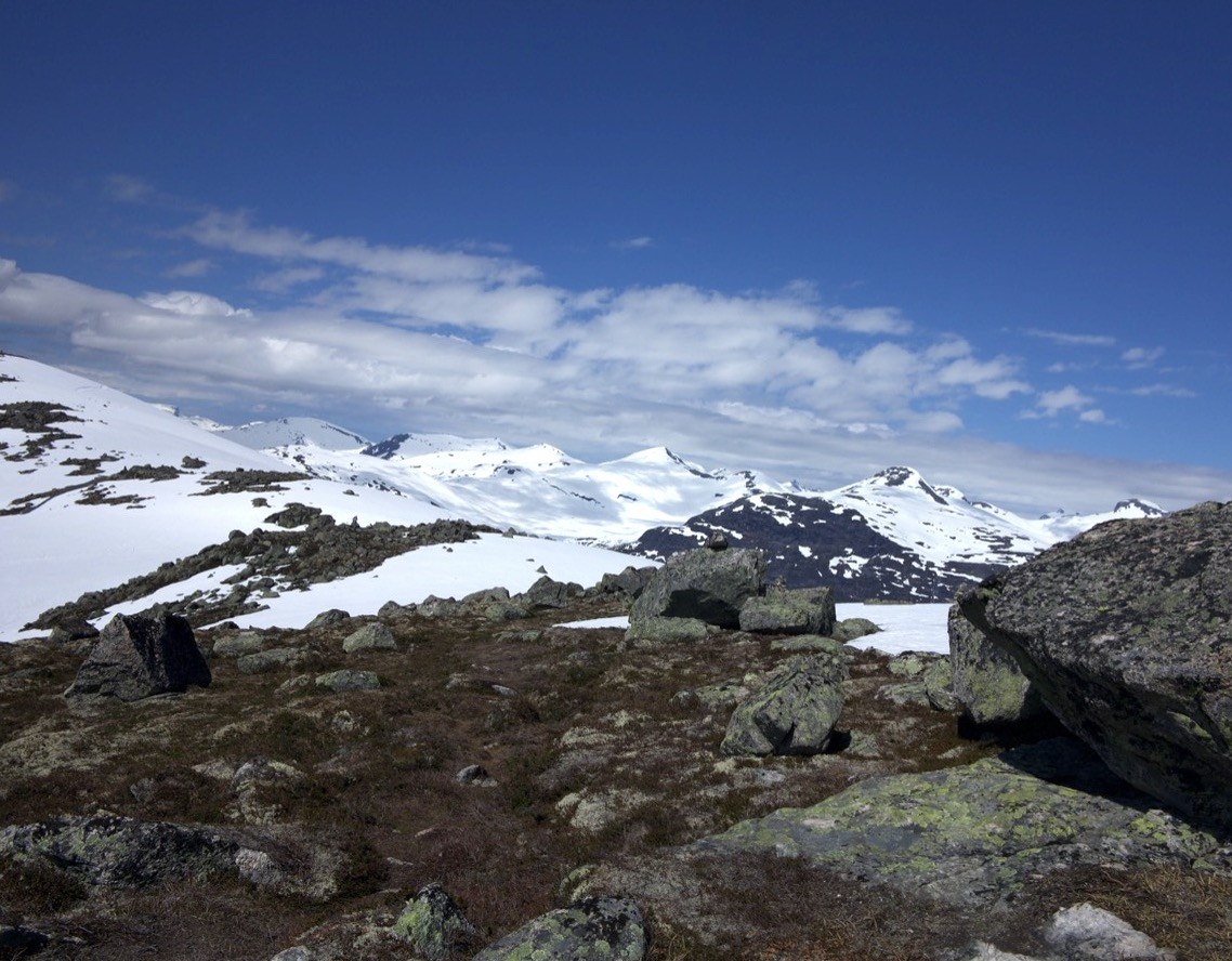 sugar mountain
