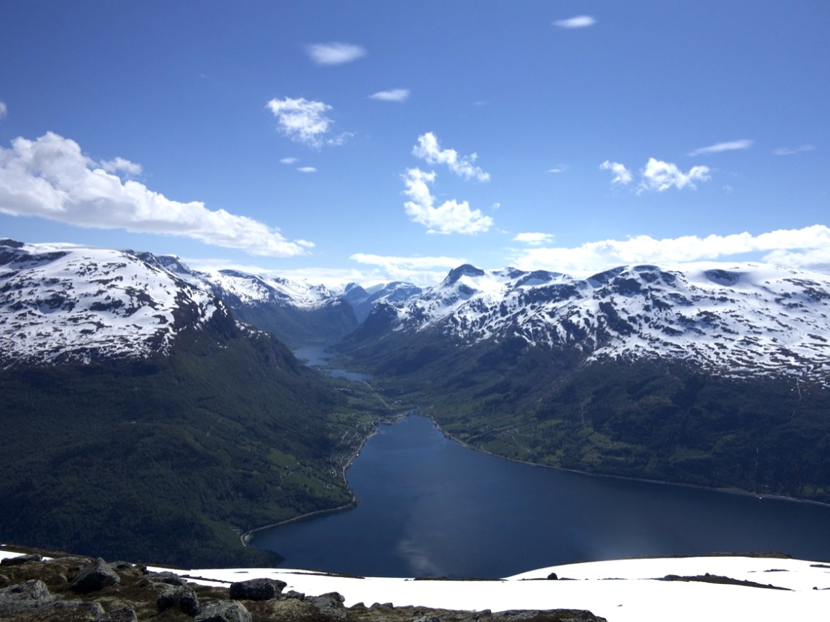 view
