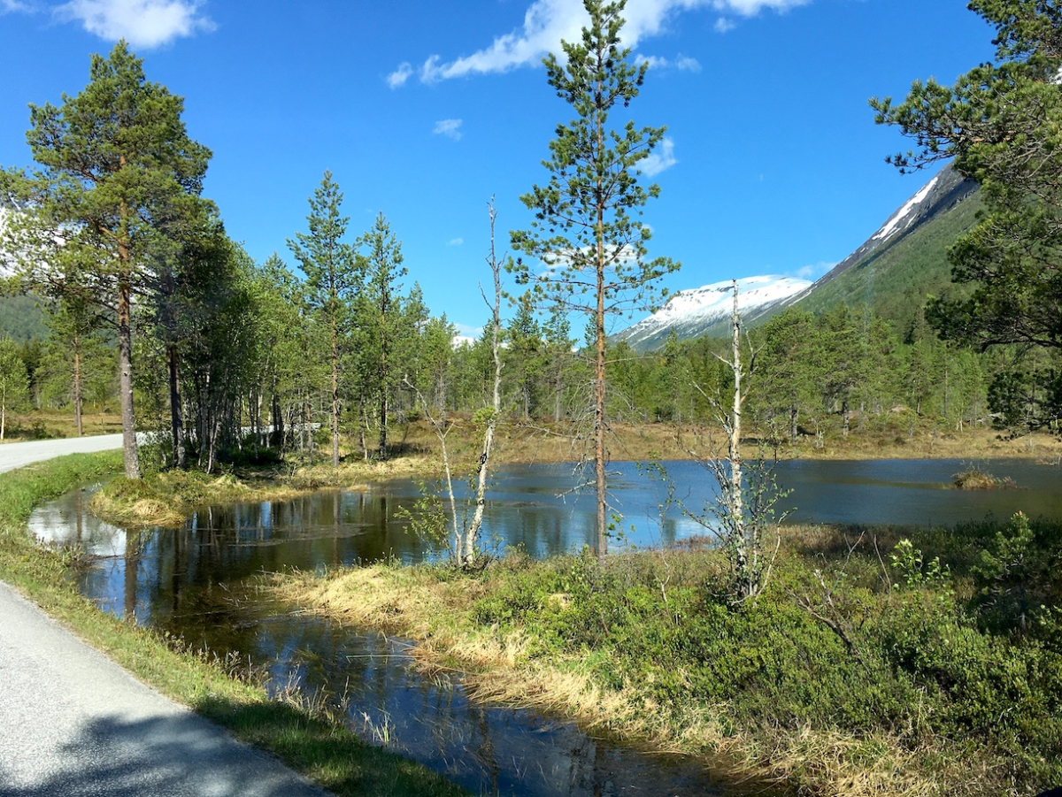 innerdalen